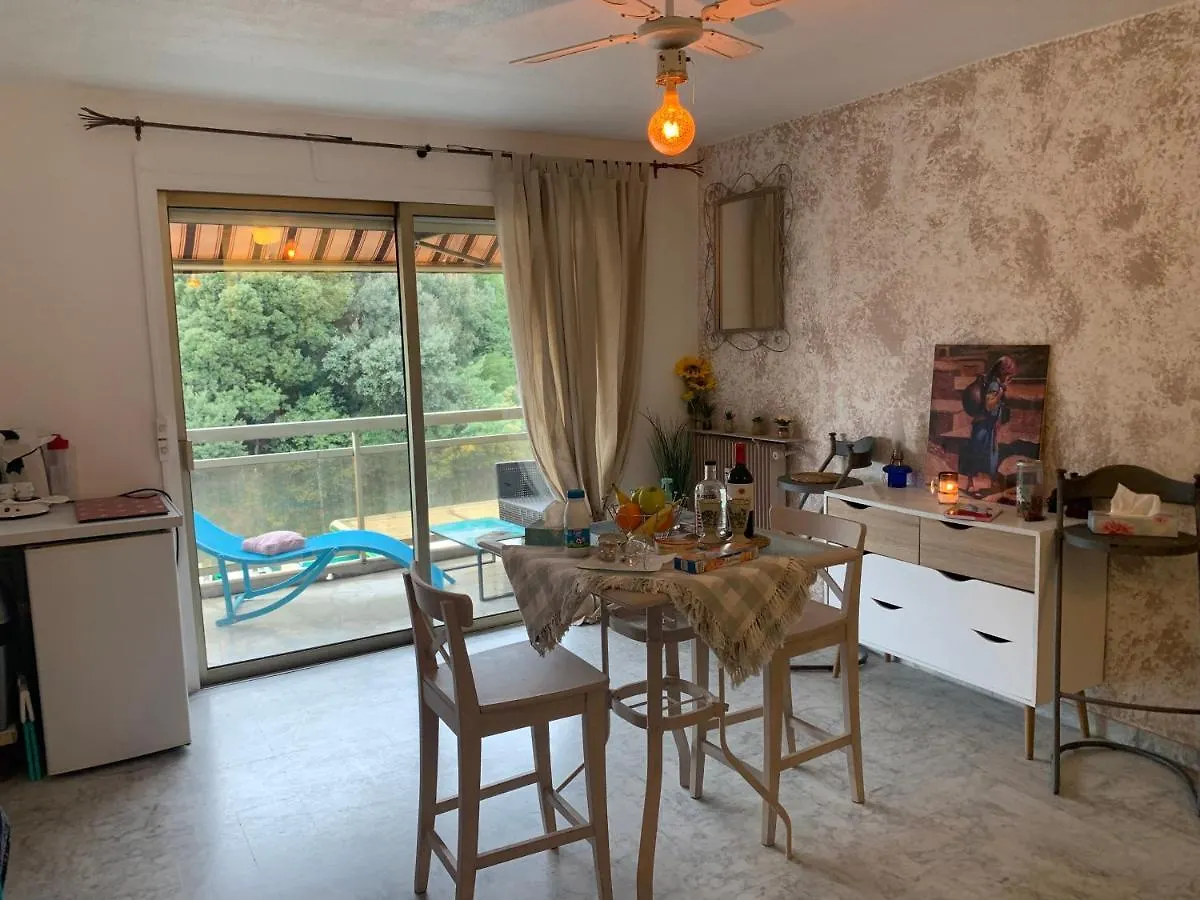 Luxurious Studio In Cannes 450M From Sea With Terrace And Air Conditioning And Private Parking 0*,