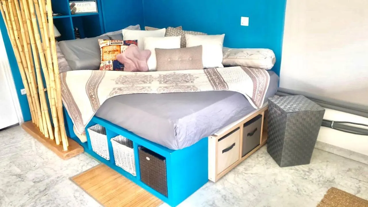Luxurious Studio In Cannes 450M From Sea With Terrace And Air Conditioning And Private Parking