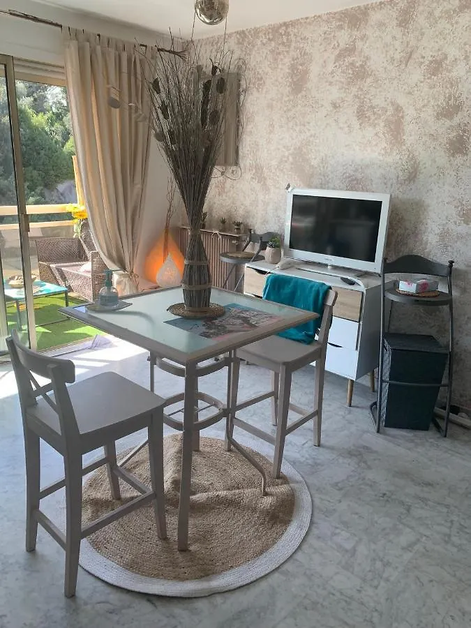 Luxurious Studio In Cannes 450M From Sea With Terrace And Air Conditioning And Private Parking