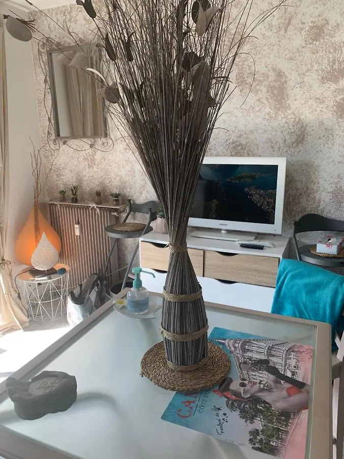 Luxurious Studio In Cannes 450M From Sea With Terrace And Air Conditioning And Private Parking 公寓
