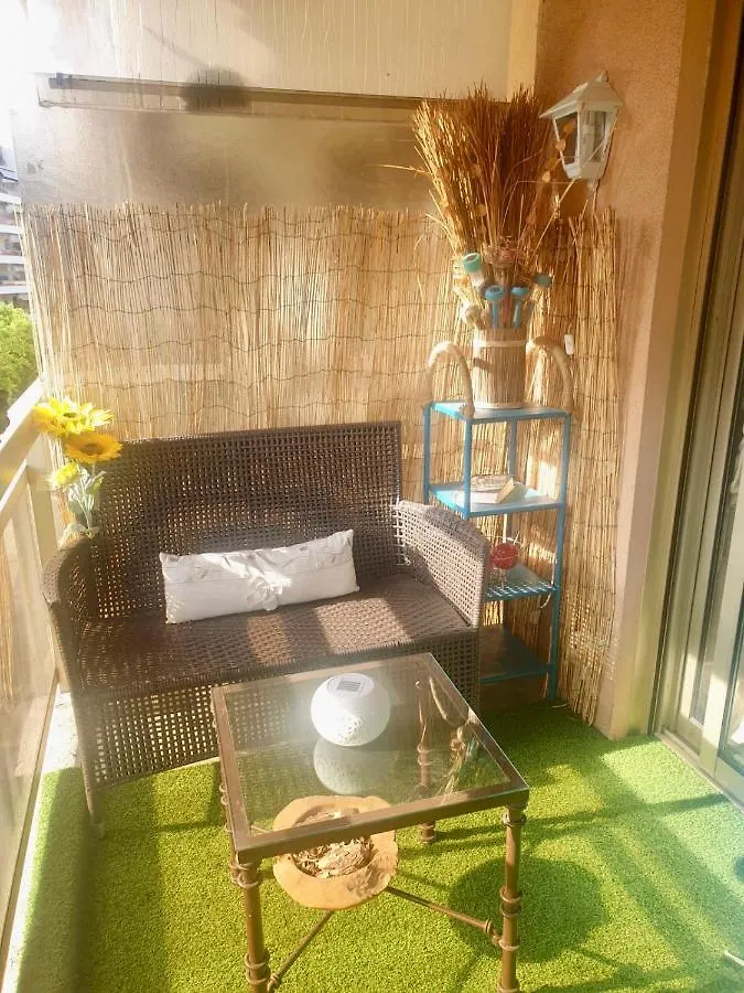 Luxurious Studio In Cannes 450M From Sea With Terrace And Air Conditioning And Private Parking 0*,