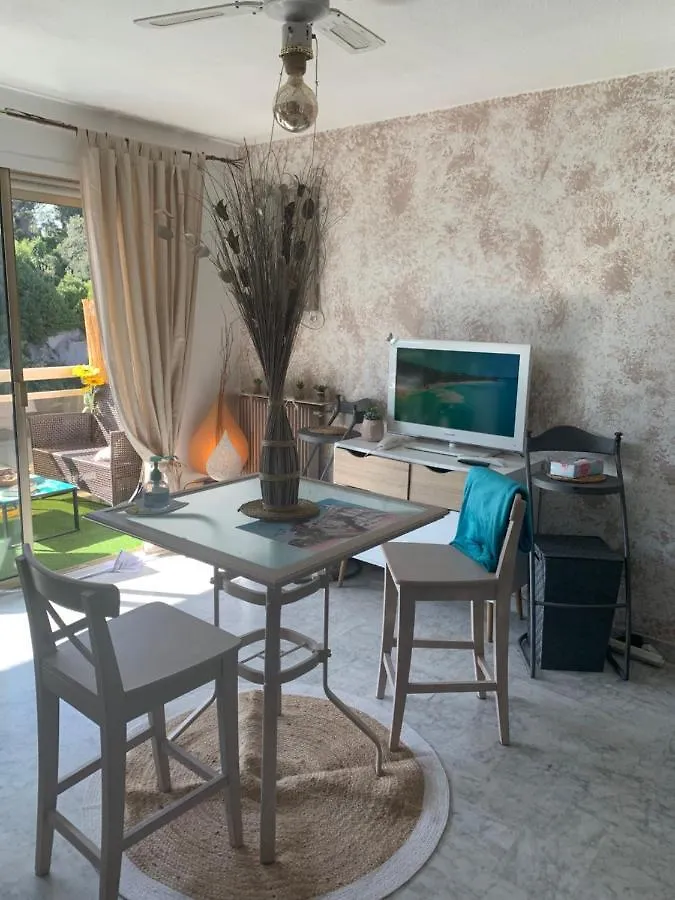 Luxurious Studio In Cannes 450M From Sea With Terrace And Air Conditioning And Private Parking