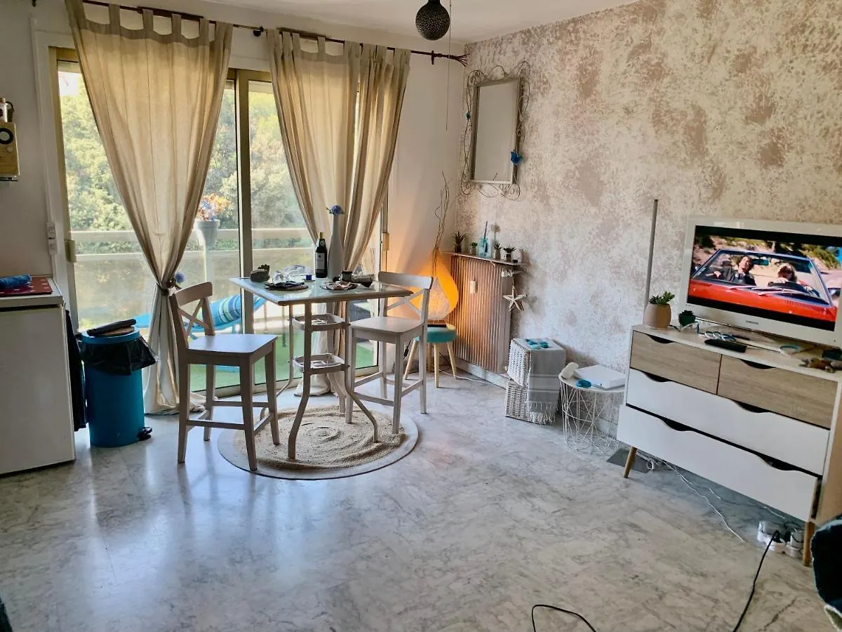 Luxurious Studio In Cannes 450M From Sea With Terrace And Air Conditioning And Private Parking 法国